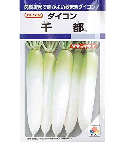 Amazon.co.jp: だいこん 種子 千都 せんと 大根 (9ml) : DIY・工具