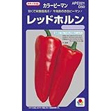 レッドホルン (ピーマンの種) 小袋 約30粒