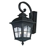 Trans Globe Lighting 5420 BK 3-Light Coach Lantern, Black [並行輸入品]