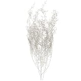 大地農園 プリザーブドフラワー シャワーグラス(25g入り) DO001090-962