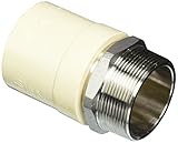 King Brothers Inc。オスXソケットPXL CPVC XステンレススチールTransition Adaptor、タン 2 Inch TMS-2000 1