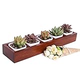 YUMU（御目)ZAKKA木質多機能な 多肉植物 屋外 収納ボックス アウトドア 収納ベンチボックス 鉢JM1004-01