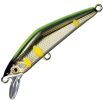 スミス Dコンパクト45 10個セット smith Amazon.co.jp: スミス(SMITH LTD) D-コンパクト45#16 チャート