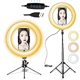 【2020最新版】 LEDリングライト 自撮りライト 照明キット 外径10インチ 3色10段階調光モード USB卓上スタンド 両用スタンド