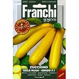 [ 西洋野菜 種 ] ズッキーニ ゴールドラッシュ