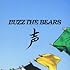 BUZZ THE BEARS「声(初回限定盤)」