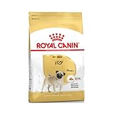ロイヤルカナン bhn パグ 成犬・高齢犬用 1.5kg ニューパッケージ
