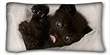 Decorative King枕ケース動物Kitten Baby Sダウン生地Tongue 20 " * 36 " One Side キング イエロー VEAA