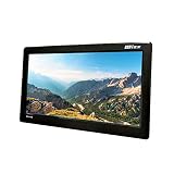 WPT-H1100 11.6型ポータブルテレビ 地デジワンセグ HDMI･USB端子 バッテリー内蔵