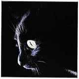 ジャッキー・Popp Wildlife N Nature猫 – 黒猫面 – タイル 8-Inch-Ceramic ブラック ct_23822_3