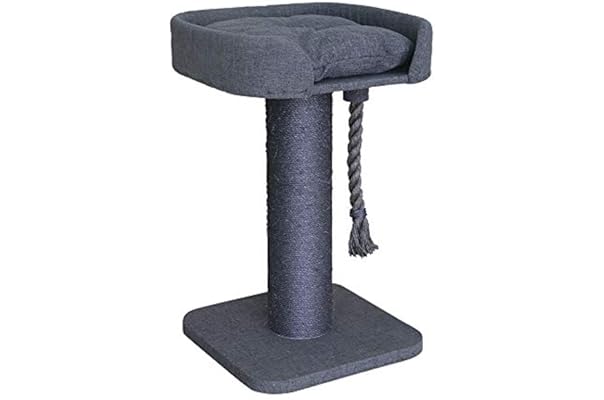 kazoo high bed scratch post