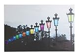 彩か SAIKA LEDPICTURE 街灯 壁掛け 写真 (単三電池2本使用) 飾ると印象的なお部屋に