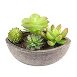 Zhhlinyuan 4 in 1 Artificial Succulent Plant Pot /Flower Pot for Tabletop Decoration