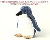 メモリアルギフト 洗えるぬいぐるみ ミンクプラッシュ ペンギン ラッピング不要