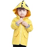 Fheaven (TM) クリアランス 幼児 キッズ 赤ちゃん 男の子 女の子 レインコート カートゥーン 恐竜 フード付きジッパー 衣服コート 2-3 Years イエロー