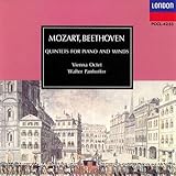 �s�A�m�ƊǊy�̂��߂̌܏d�t�ȕσz����