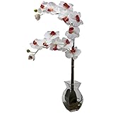 Nearly Natural 1295-WH Phalaenopsis Orchid with Vase Arrangement, White [並行輸入品]