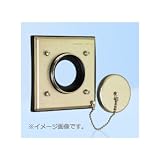 アメリカン電機 防水形プレート(耐じん・噴流形) コンセント×1(ボス径φ57用、平蓋付) W801-2