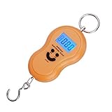 Leiking 旅行はかり ラゲッジチェッカー デジタルスケール トラベル スーツケース 荷物秤 ベルト計量器 電子吊り下げ式 携帯式 風袋引き機能 温度計付き 液晶ディスプレイ ステンレス 小型軽量