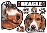 犬ステッカー ビーグル7 シール