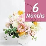 【フラワーファーム】　季節のアレンジ・デラックス-6ヶ月定期便-　【花　ギフト・宅配・誕生日・プレゼント・翌日】