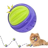 LaRoo 犬用おもちゃ 犬 ボール スクイーキーボール 高反発 噛むおもちゃ 歯磨き効果 水に浮く 小型犬・子犬向け 耐久性 TPR ゴム製 屋内屋外兼用 (5cm, パープル)