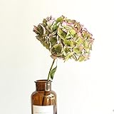 BAGEHUA アジサイの乾燥された花、自然乾燥された花、真の花、等級、アジサイ、乾燥された花の写真、 DIY のフラワーアレンジメントは、あじさい Qiuhong シングルブランチ