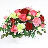 アレンジメント・アフロディーテ