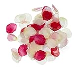 Darice RC-7209-60 Decorative Satin Loose Rose Petals, Mixed Petals, 100-Pack [並行輸入品]
