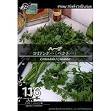 [ ハーブ 種 ] コリアンダー