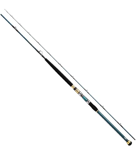 Amazon | ダイワ(DAIWA) 船竿 ゴウイン ブル・V HH-190・V 釣り竿 