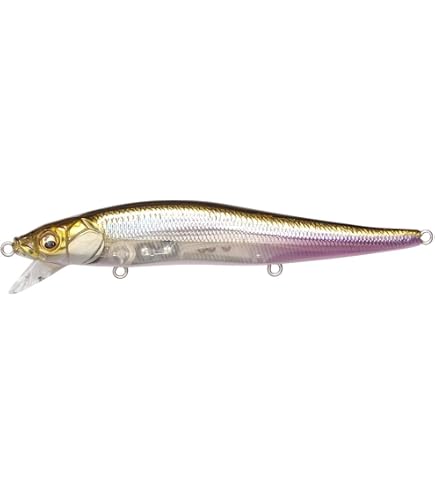 限定 メガバス Megabass VISION ONETEN LBO 6点セット Amazon | メガバス(Megabass) VISION ONETEN LBO GG エンドマックス