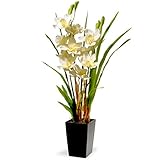 Nationalツリー会社Potted Orchidsシルクフラワー ブラック NF36-5290S