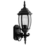 Livex Lighting 7532-04 Outdoor Wall Lantern with Clear Beveled Glass Shades, Black [並行輸入品]