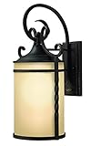 Hinkley Lighting 1145OL Casa Outdoor 1-Light Lantern [並行輸入品]