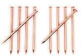 4インチ銅Nails for Killing木、Stumps & Roots – これらのキラースパイクMakeツリー取り外し簡単