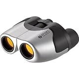 池田レンズ工業:池田レンズ ズーム双眼鏡 コンパクト 10～30倍 ZM30252 型式:ZM30252