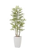 光触媒観葉植物 ア－バンゴ－ルデンリ－フ1.8 フロアタイプ ハイサイズ