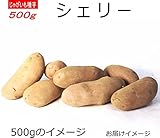 じゃがいも 種芋 シェリー 500g ジャガイモ