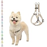 PUPTECK 犬 ハーネス 迷子札 犬 胴輪 犬用ハーネス 喉に優しいハーネス ペット用品 ドッグ はーねす 調節可能 着脱簡単 軽量 通気性 快適 負担が少ない 耐久性 引っ張り防止 安全 夜間反射 IDタグ付き 散歩 アウトドア しつけ 訓練 人気 可愛い おしゃれ 小型犬 中型犬 大型犬（ベージュ、Sサイズ）