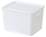 東谷 AZUMAYA  アミー ボックス M W36×D30×H22cm ホワイト