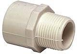 Mueller Industries gidds-99113 PVC SCH 40オスアダプタ1 – 1 / 4 " x 1 "