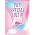 Pile SPECIAL LIVE!!!「P.S.ありがとう...」 at TOKYO DOME CITY HALL（Blu-ray）