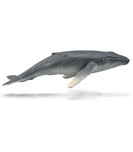 クジラ34 newzbit30-03.jpg