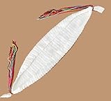 (ビグッド)Bigood ナチュラル ベビーハンモック あかちゃん用 手作り ニット 写真 撮影 小道具 ベビーベッド 乳幼児 包まれる 可愛い 出産祝い