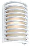 Access Lighting 20300-WH Poseidon 1-Light Wet Location Caged Bulkhead, White with Ribbed Frosted Gla