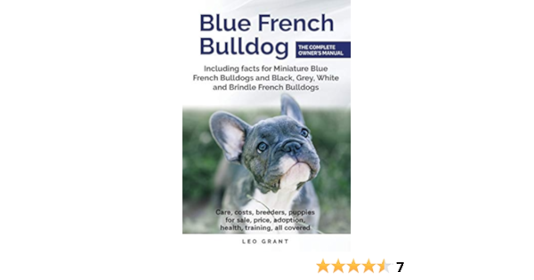 blue brindle french bulldog puppies for sale