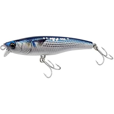 Amazon.co.jp 最新リリース: 釣り の新着ランキングです。