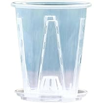 Amazon.co.jp: 植木鉢 穴付き 10鉢セット 蝶蘭 透明 植木鉢 胡蝶蘭の