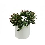 7.75" Artificial Mixed Green and Red Succulent Plants in a Decorative White Pot